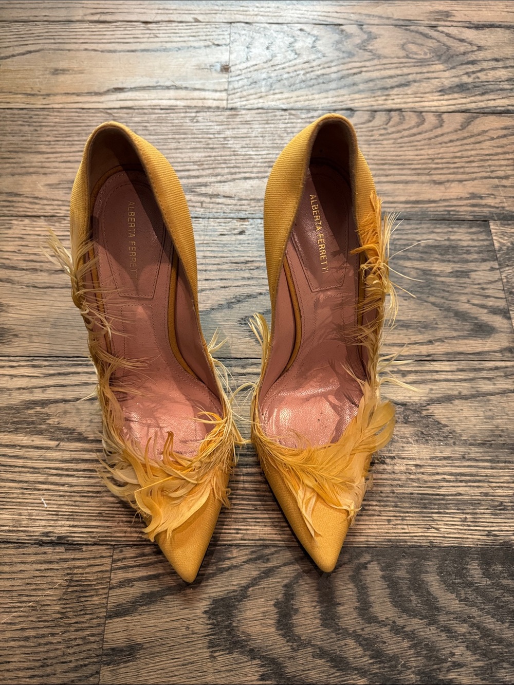 Alberta Ferretti feather pump